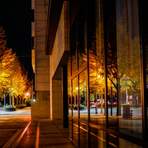 クリスマス・イブは誰と過ごす？のお話