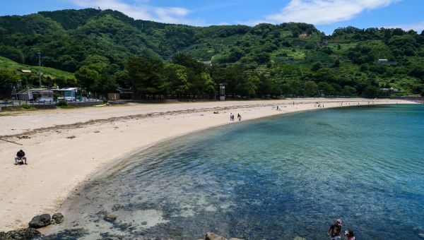 頸椎損傷とリハビリの現実に関して。