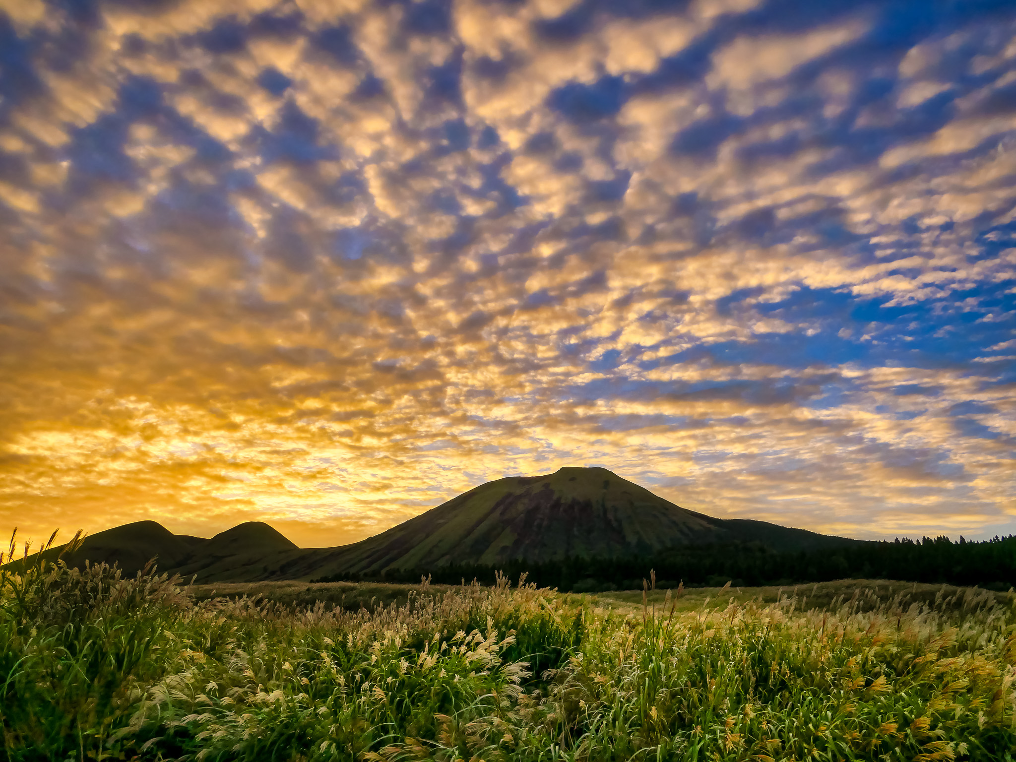 公衆衛生についてのお話やおせっかいちゃんの活動、COVID19に関しての対応の話など。