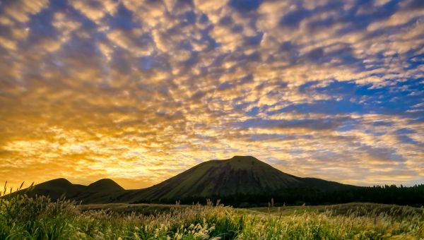 公衆衛生についてのお話やおせっかいちゃんの活動、COVID19に関しての対応の話など。