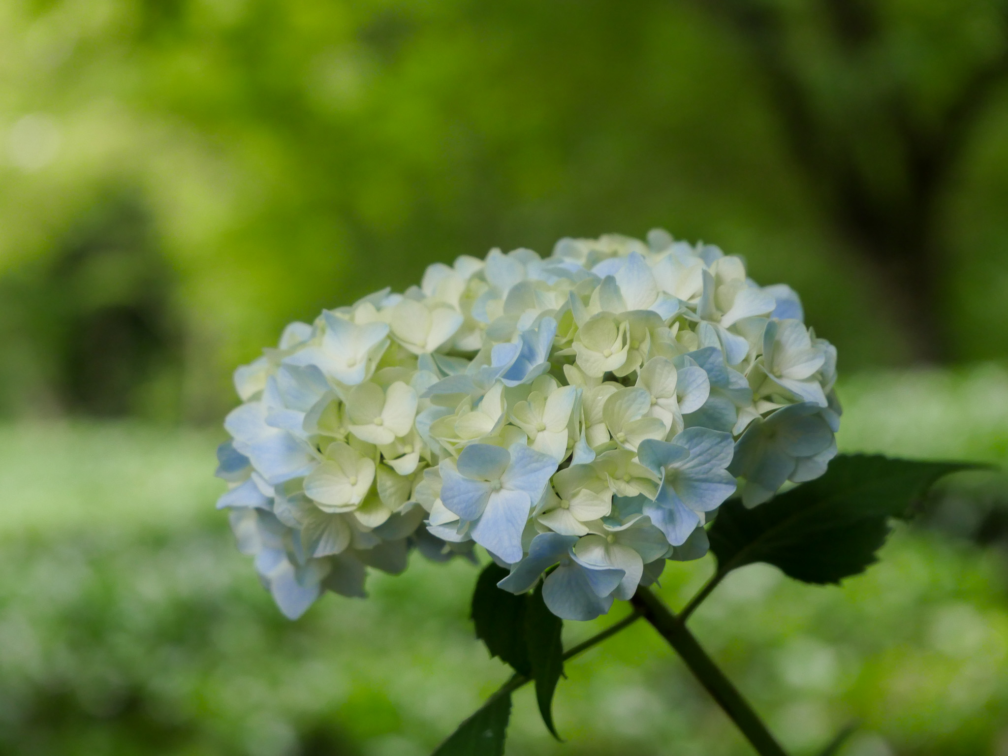 渡部さんが利用した多目的トイレとサポートユーザとの関係とは