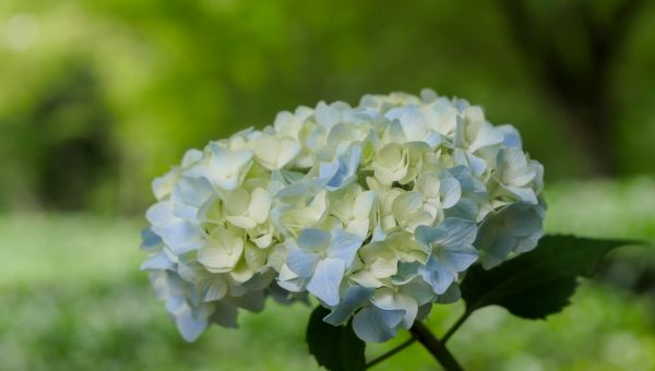 渡部さんが利用した多目的トイレとサポートユーザとの関係とは