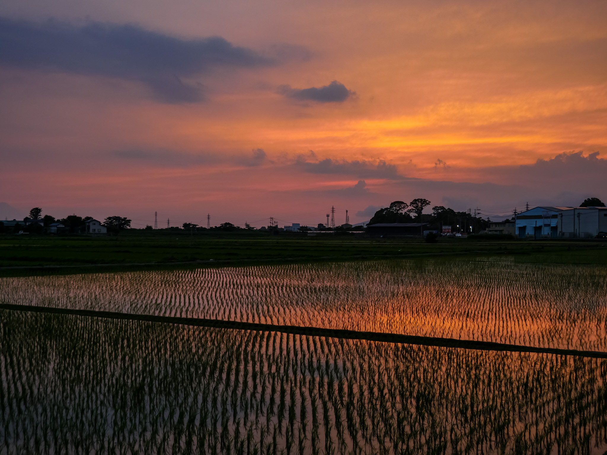 やさしいくまもとへのアプローチ。段差のないフラットなまちづくりとは。