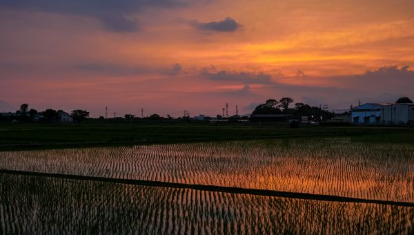 やさしいくまもとへのアプローチ。段差のないフラットなまちづくりとは。